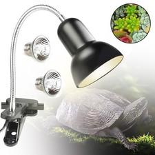 Schildkröten-Wärmelampe