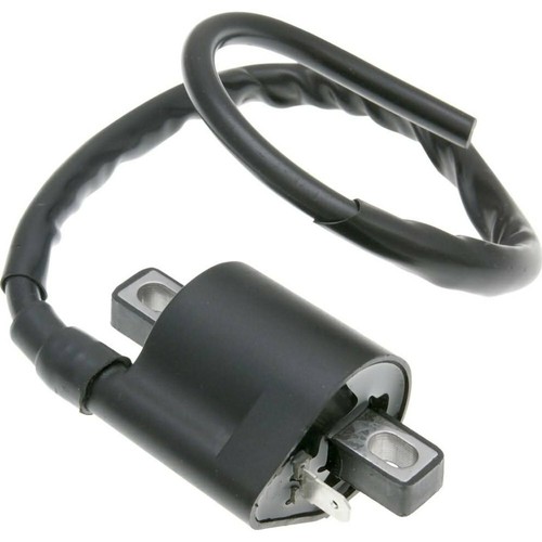 Zündspule pin für hyosung - pin,
