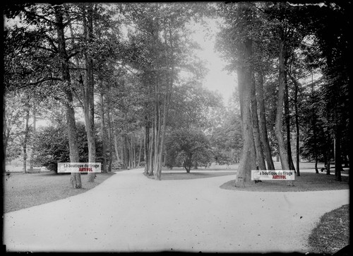Alte foto glasplatte - alte,
