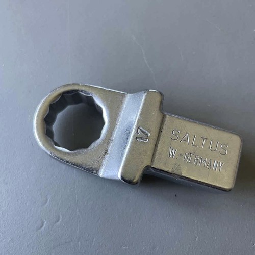Saltus - 17, er
