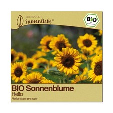 Samenliebe BIO Sonnenblume