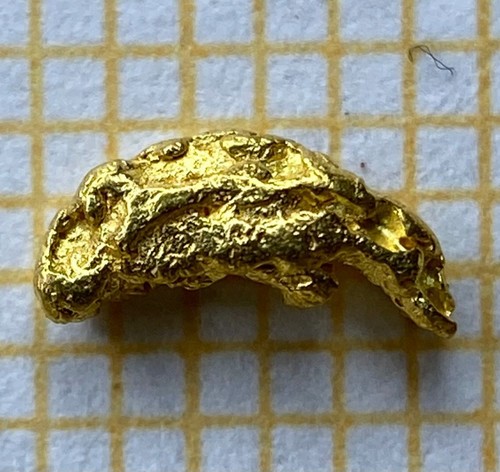 Echtes goldnugget - xl,