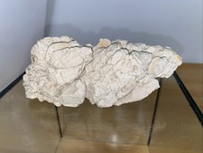 Kalkstein, Dekostein, Aquarium, Rohstein, 500g