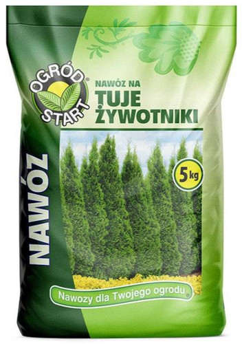Thuja dünger lebensbaum - thuja,
