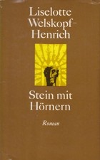 Buch: Stein mit Hörnern