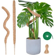 Moosstab Monstera Pflanzenklettern 2x60cm Kokosfaser Aluminium Indoor