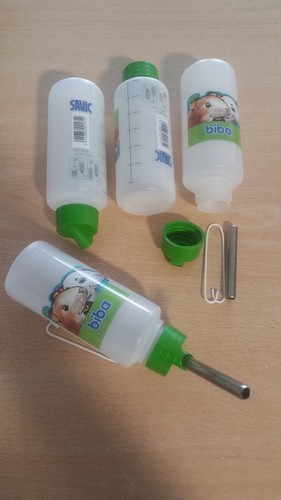 Hamster oder mäuse - hamster,
