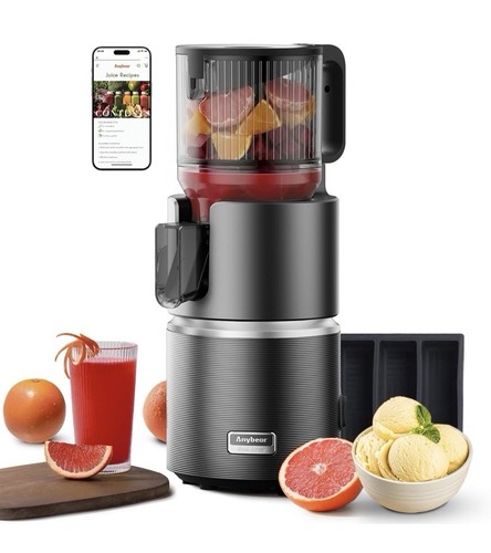 Anybear entsafter 350w slow - anybear, entsafter,
