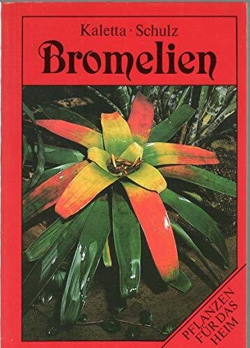 Bromelien pflanzen für - bromelien.,