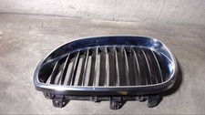 Kühlergrill Nieren Seitlich