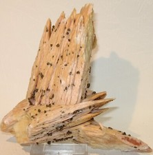 Sehr schöne Baryt Stufe