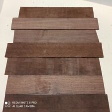 25 St. amerikanischer Nussbaum