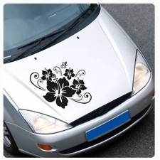 Hibiskus Blumen Schmetterling