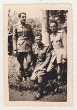 Drei liebevolle gutaussehende