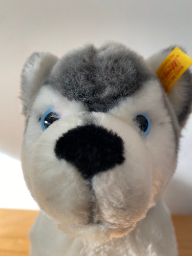 Steiff husky bernie 104978 - bernie,