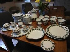 Hutschenreuther Weinlaub Geschirr 62 Teilig