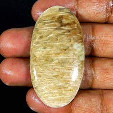 Natürlicher indonesischer VERSTEINER Palmenachat ovaler Cabochon 56,00...