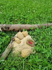 Angeln, Karpfen, Feeder Futter ANANAS  10 kg