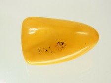 Butterscotch Egg Yolk Amber