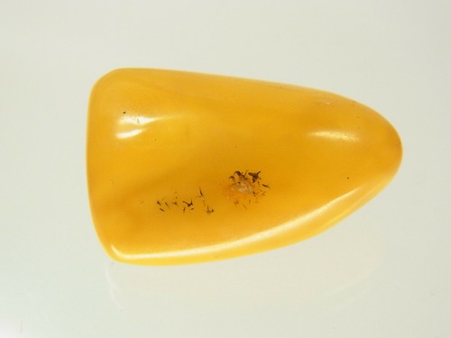 Butterscotch egg yolk amber - yolk,