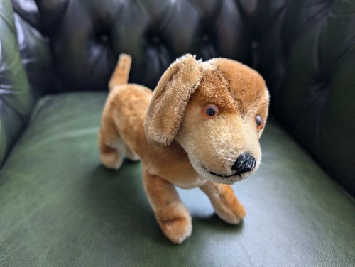 Steiff dackel bazi vintage - bazi,