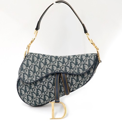 Christian dior trotter saddle - trotter,
