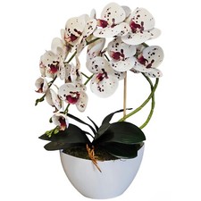Künstliche orchidee topf - orchidee,