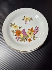 cp colditz ddr porzellan Teller