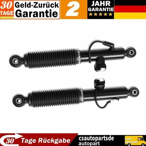 Paar hinten stoßdämpfer - hinten,