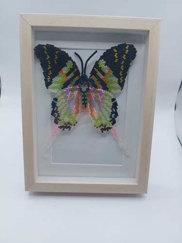 Schmetterling cm - schmetterling, 11×13