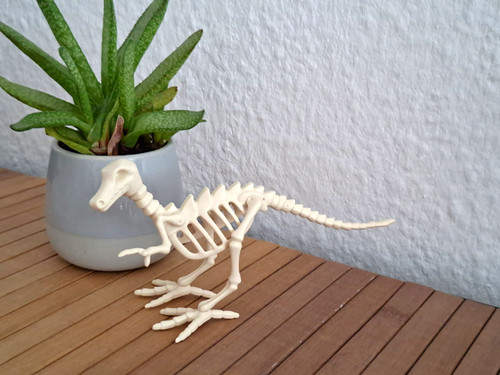 Dinosaurier skelett aus 3184 - dinosaurier,