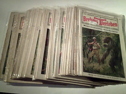 Die schönsten schilderungen - schönsten,
