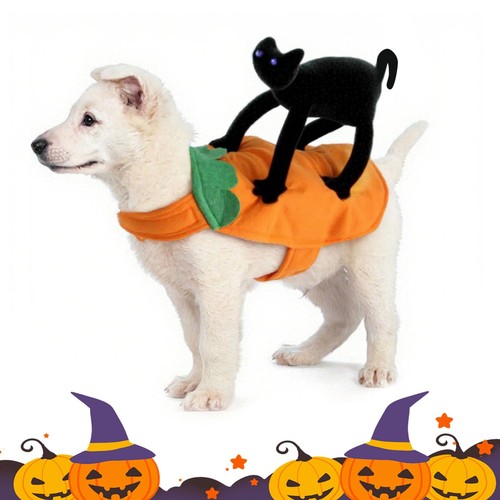 Hunde katzen kostüm mit - hunde,