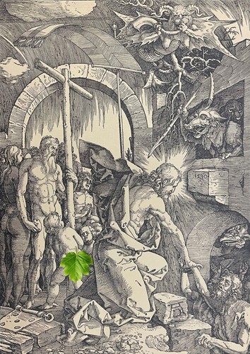Albrecht dürer 1471 1528 - albrecht, der