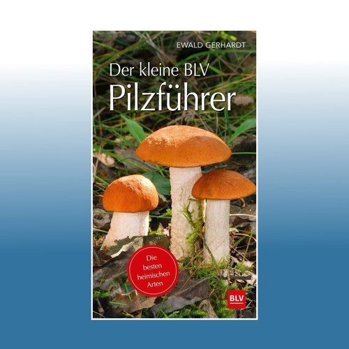 Der kleine blv - blv, |