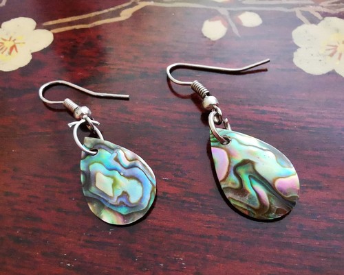 Paua muschel abalone - paua, muschel/abalone