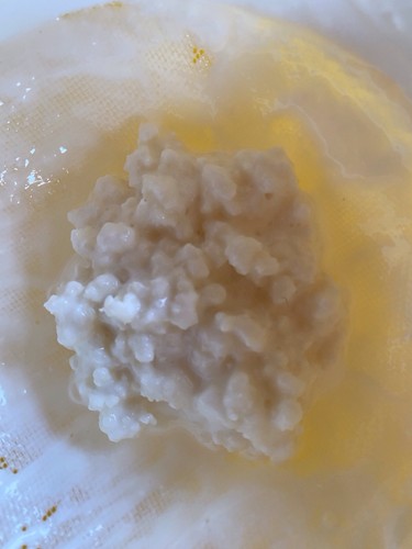 Bio milchkefir knollen g - milchkefir-knollen, 15