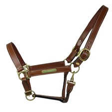 Equest Lederhalfter Inscribe für Pferde, unterlegt - cognac, M - Cob/Vollblut