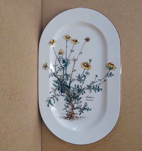 Botanica villeroy boch - v., &