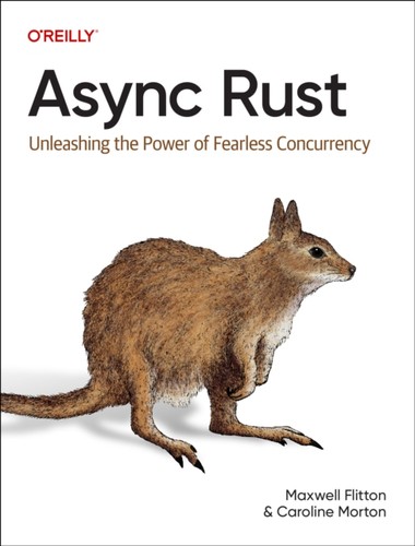 Async rust flitton - by, maxwell