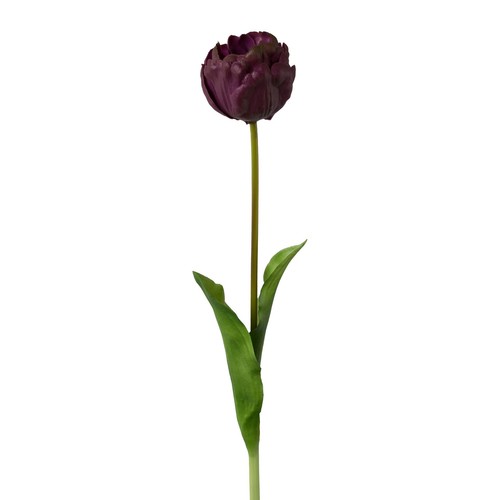Kunstblume tulpe gefüllt - tulpe, gefüllt,