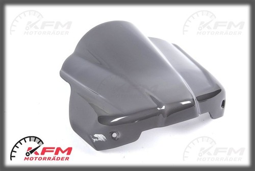 Ducati monster windschild - monster,