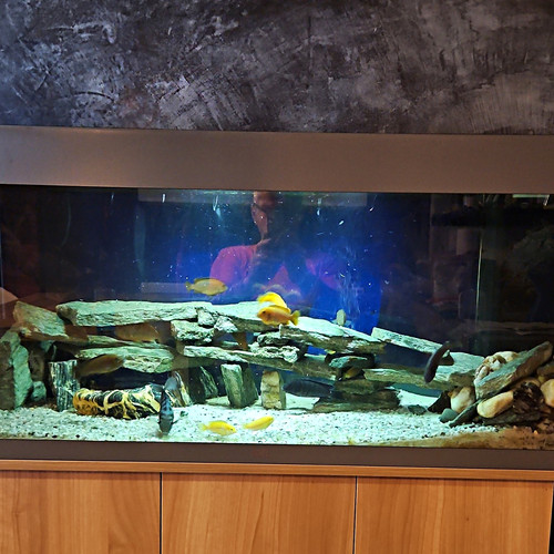 Komplettaquarium glas - komplettaquarium,