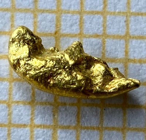 Echtes goldnugget - xl,