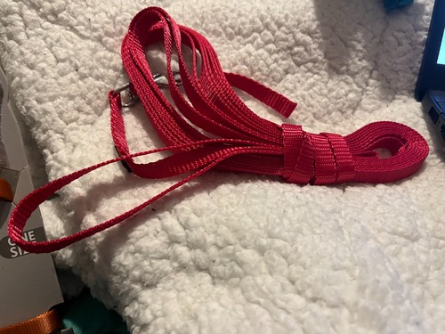 Trixie katzen leine farbe - farbe, rot