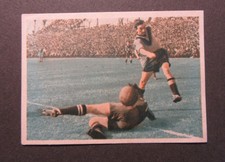 ⚽Schalke 04 - Borussia