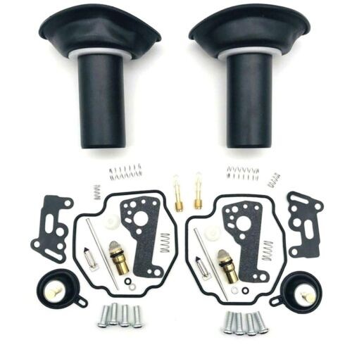 Vergaser reparatursatz - 2x,