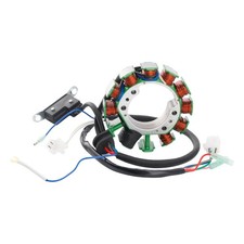 Stator Lichtmaschine für