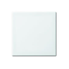 Busch-Jaeger 2506-914 Wippe