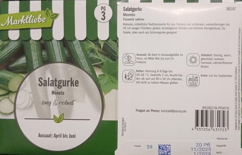 Salatgurke moneta samen - salatgurke,